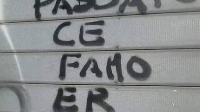 alt tag madi brattoni