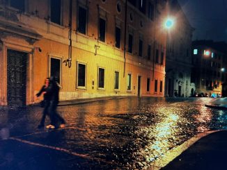 alt tag Giusy Domenici