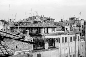 alt tag Osvaldo Amari