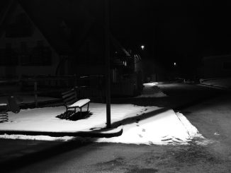 alt tag Roberta Cavallarin