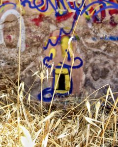 alt tag maurizio Attisani