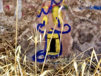 alt tag maurizio Attisani