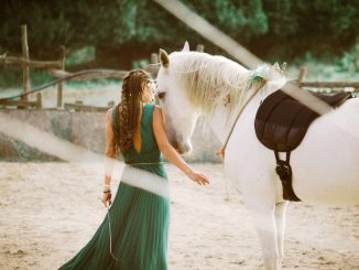 alt tag Irene Cinardi