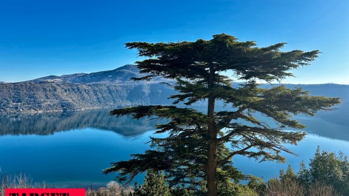 alt tag maurizio Attisani