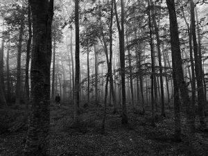 alt tag Diletta Attenni