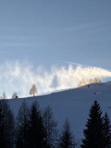 Alt tag Daniela Pepino