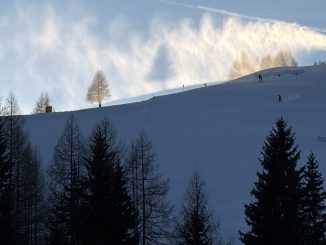 Alt tag Daniela Pepino