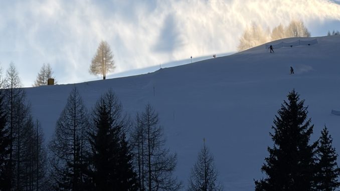 Alt tag Daniela Pepino