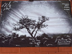 alt tag Valentina Graf