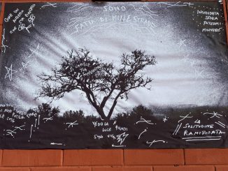 alt tag Valentina Graf