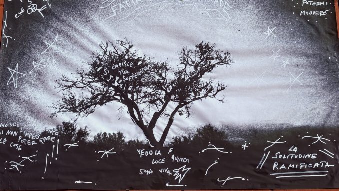 alt tag Valentina Graf