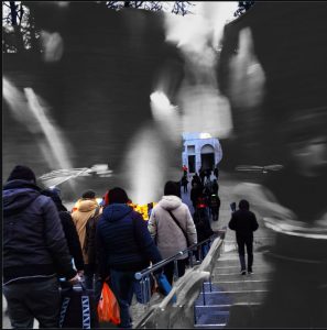 alt tag Alfreda Vedova