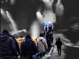 alt tag Alfreda Vedova