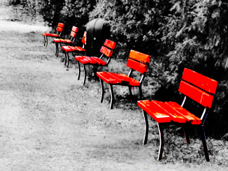 alt tag Alfreda Vedova