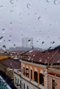 alt tag Annamaria Pieri