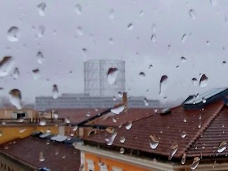 alt tag Annamaria Pieri