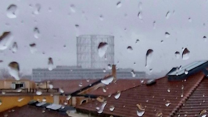 alt tag Annamaria Pieri