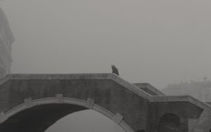 alt tag Roberta Cavallarin