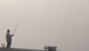 alt tag Roberta Cavallarin