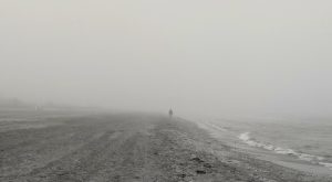 alt tag Roberta Cavallarin