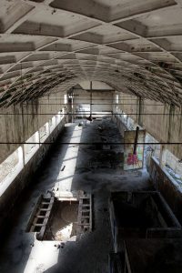 alt tag Fausto lubatti