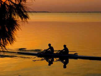 alt tag Roberta Cavallarin