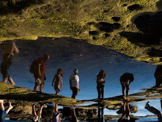 alt tag Marco Moretti