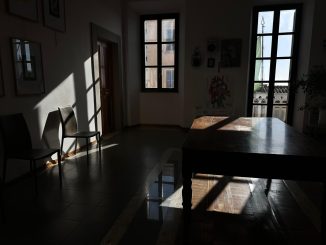 alt tag Diletta Attenni