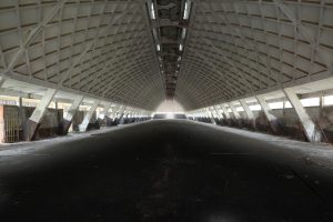 alt tag Fausto lubatti