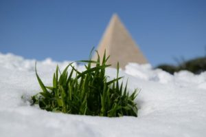 alt tag Elisabetta Pistidda