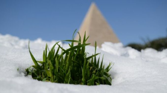 alt tag Elisabetta Pistidda