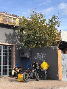 alt tag Mario Barile