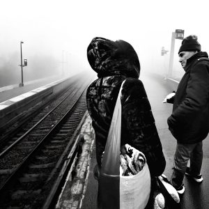 alt tag Alfreda Vedova