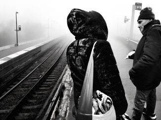 alt tag Alfreda Vedova