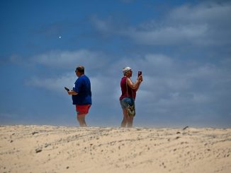 alt tag Alessandra Berto