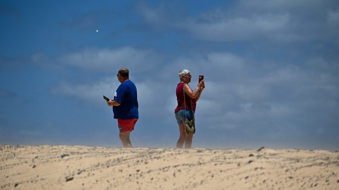 alt tag Alessandra Berto