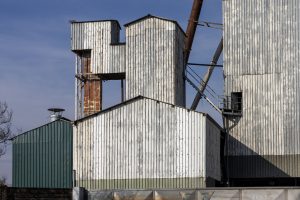 alt tag Barbara Gerosa