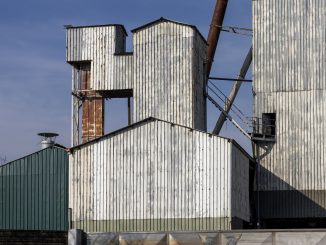 alt tag Barbara Gerosa