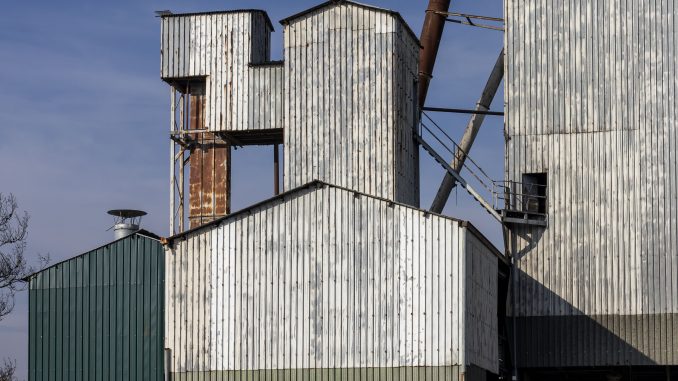 alt tag Barbara Gerosa