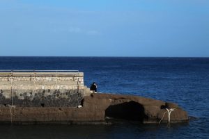 alt tag Chiara Mariani