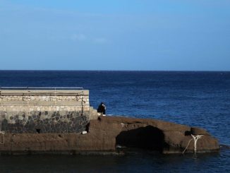 alt tag Chiara Mariani