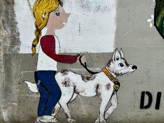 alt tag Maurizio Attisani