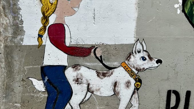 alt tag Maurizio Attisani