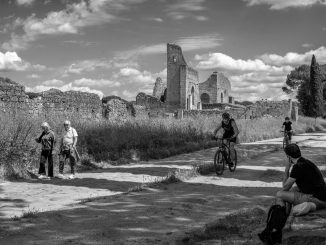 alt tag Stefano Blasi