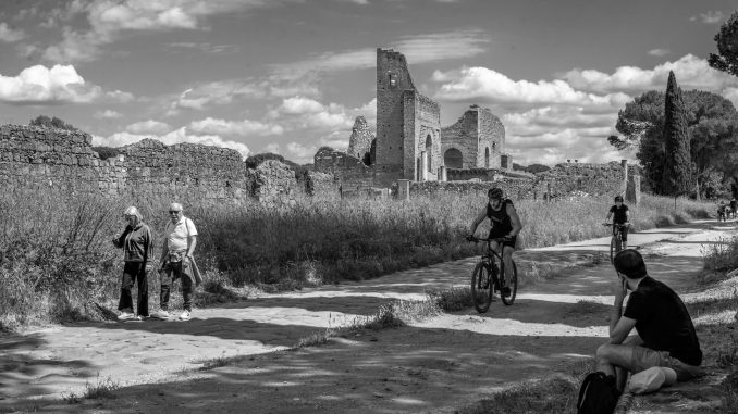 alt tag Stefano Blasi