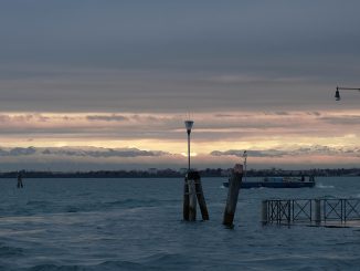 alt tag Roberta Cavallarin