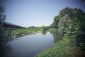 alt tag Fausto Lubatti