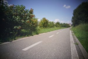 alt tag Fausto Lubatti