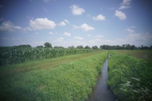 alt tag Fausto Lubatti