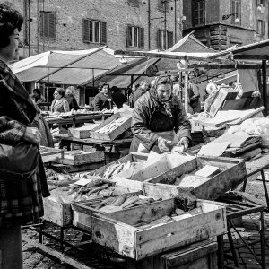 alt tag Pietro Coppa